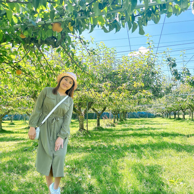 広島県　三原市　スマイル・ラボ・広島