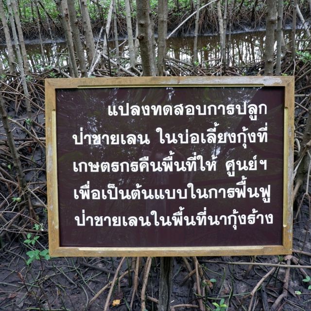 อ่าวคุ้งกระเบน จันทบุรี 