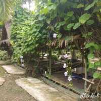 คาเฟ่บรรยากาศสวนมะพร้าว