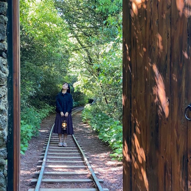신비로움 가득한 제주 산양곶자왈 🌳