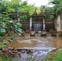 The Liveliwoods บ้านป่าร่าเริง