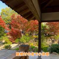 【知多半島】半六庭園で紅葉鑑賞