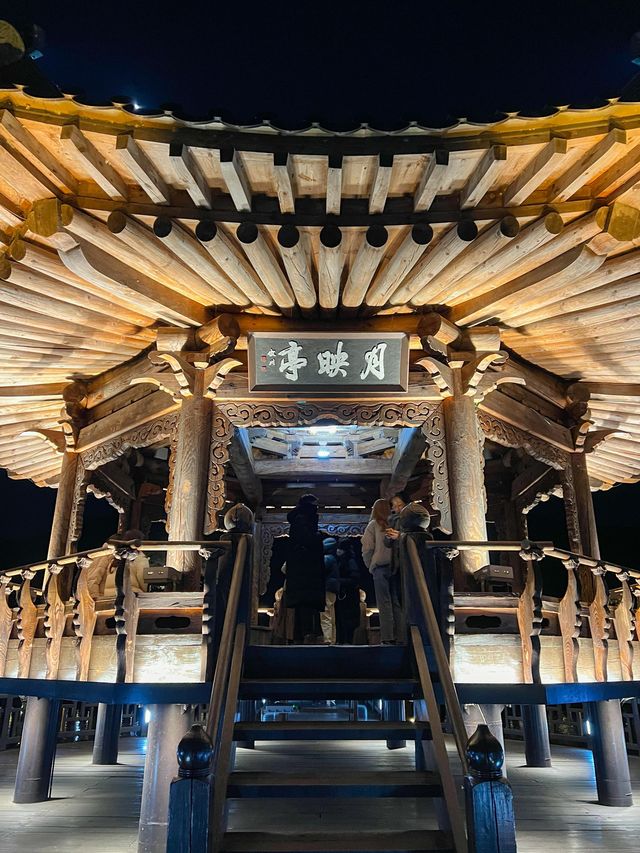 안동의 야경명소 월영교🌃✨