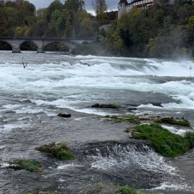 Rhine Falls
