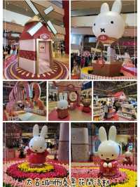 兔年miffy春意花開新年活動