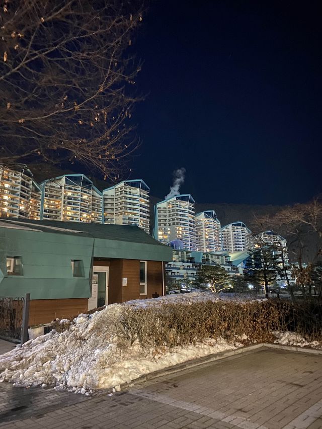 스키장뷰가 보이는 고급 비발디펠리체⛷️