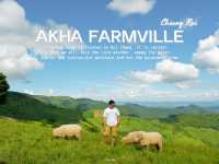 Akha Farmville ฟาร์มแกะสุดชิลล์ จ.เชียงราย
