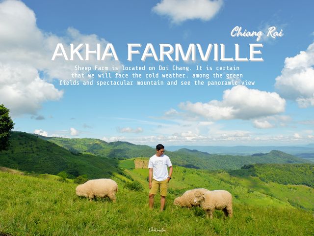 Akha Farmville ฟาร์มแกะสุดชิลล์ จ.เชียงราย