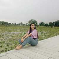 ดูบัวคาเฟ่