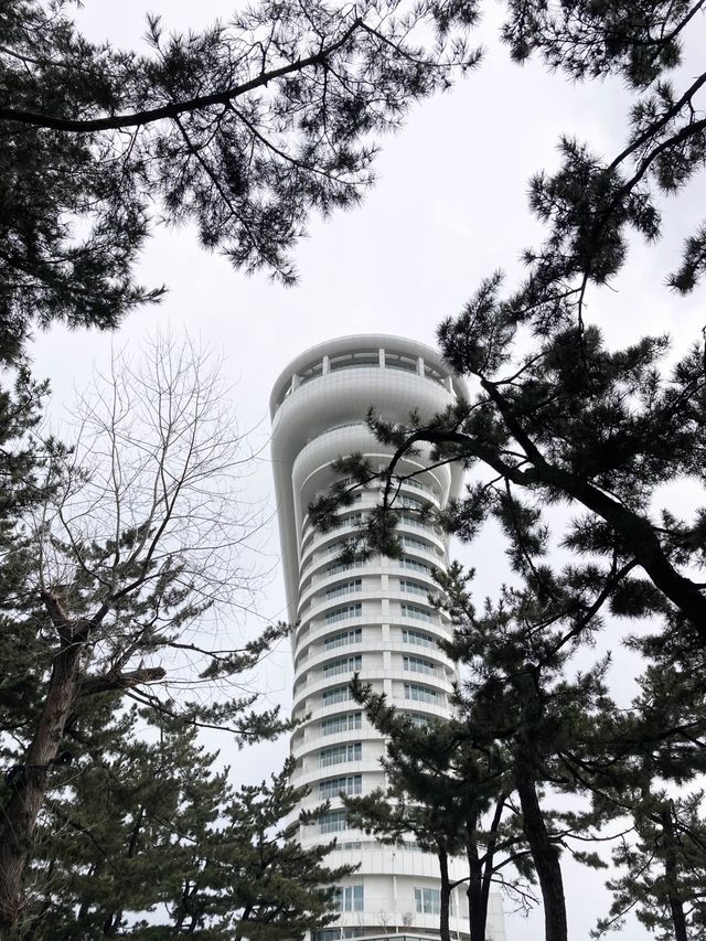 강릉하면 빠질 수 없는