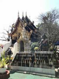 วัดป่าแดด