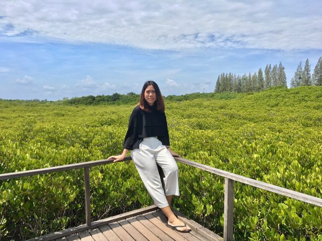 ทุ่งโปรงทอง จ.ระยอง ✨🪴