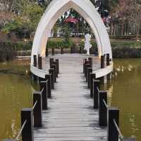 OPEN將的高山花園【清境小瑞士花園】