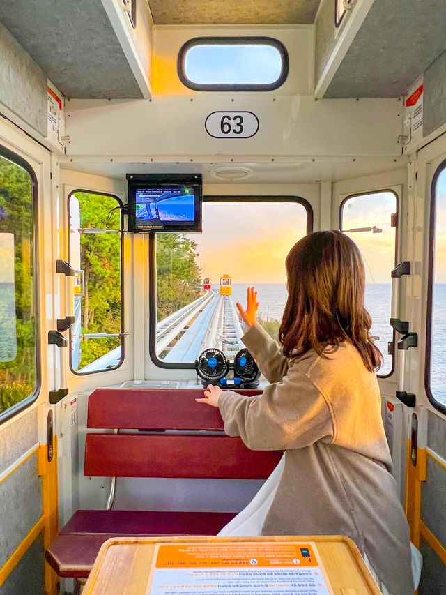해운대 필수코스 블루라인파크 스카이캡슐🚃
