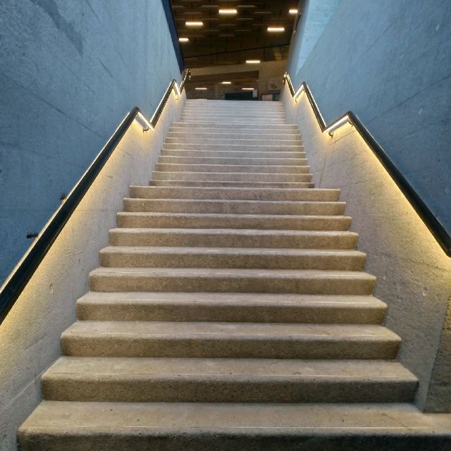 藝遊大館