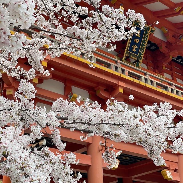 【神戸 三宮】神戸代表のパワースポット生田神社へ