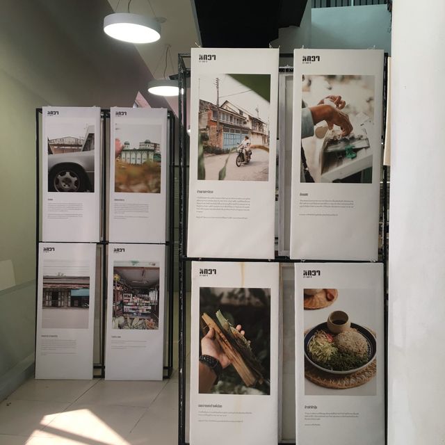 The Culture Exhibit