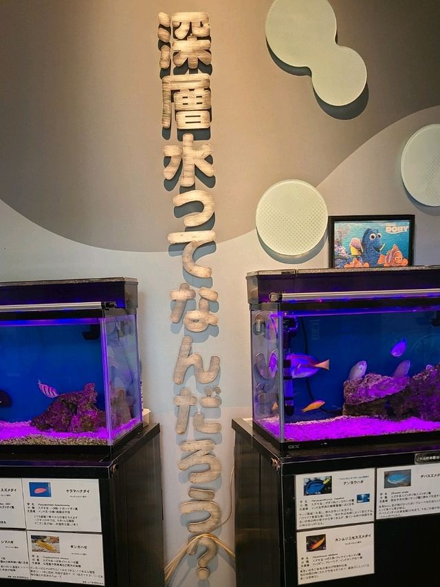 【静岡】入場無料！深層水ミュージアム