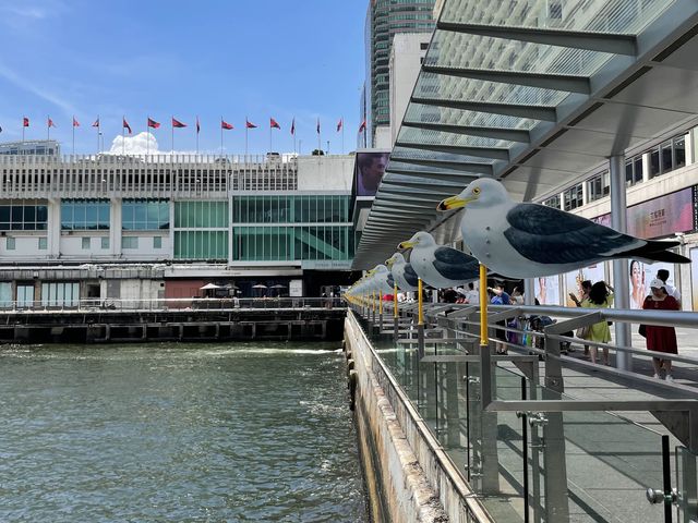 做一日香港遊客遊尖沙咀海傍～