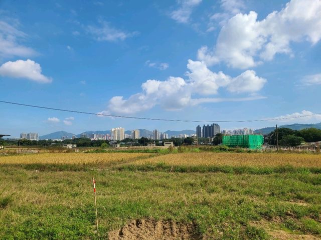 【香港邊境遊系列~河上鄉🚴‍♀️】