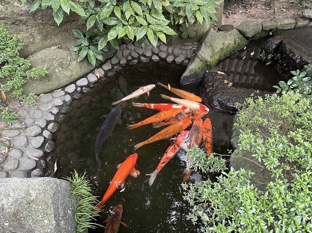 福岡・天神。『天神』地名の由来『水鏡天満宮』