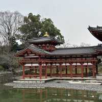 【日本/京都/宇治平等院】- 鳳凰堂 平等院 By CoStudio