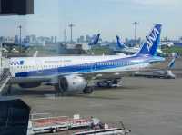 【NH】羽田→宮崎 プレミアムクラス✈️