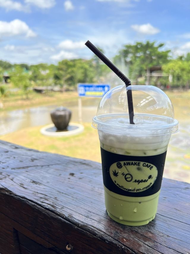 คาเฟ่ อุดร 🐑🌿