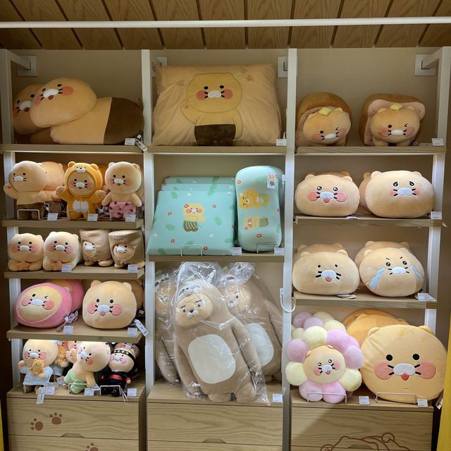 與韓國最受歡迎的KaKao Friends 見面