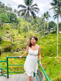 Breathtaking Rice Terraces & Bali Swing