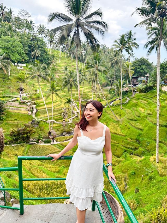 Breathtaking Rice Terraces & Bali Swing