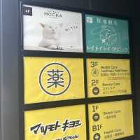 📍猫カフェMOCHA原宿店/東京