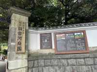 東京・北区。バラの季節には多くの品種の花が咲き誇るそうです『旧古河庭園』