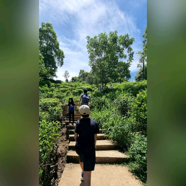 A Must Do Hike in Ella, Little Adam's Peak