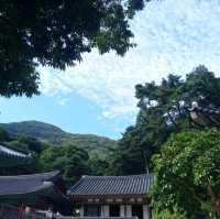 9월초가을 계룡산 국립공원 트래킹이다