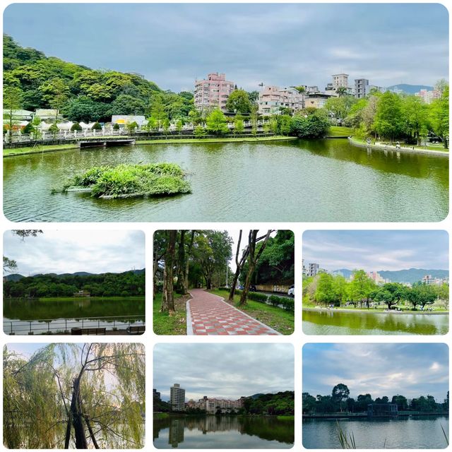 湖畔漫步🌳🏞️台北碧湖公園💎