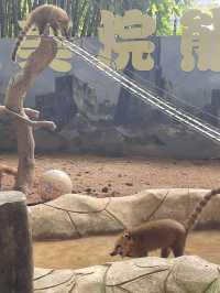 🇨🇳深圳｜親子遊x 深圳野生動物園🌟