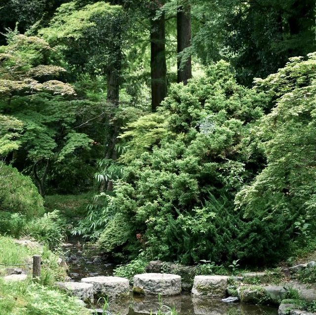 自然探險的綠洲：京都府立植物園 🌿🌺🔍