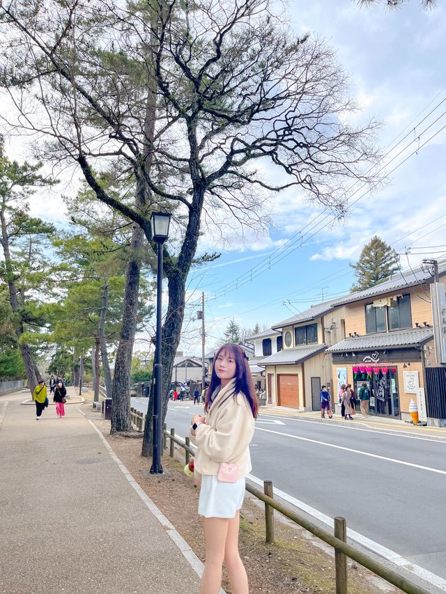 특별한 일본여행을 즐길 수 있는 사슴공원🦌