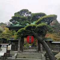 Stunning Kamakura Hasedera Japan