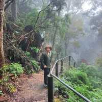 อุทยานธรรมเขานาในหลวง   จ.สุราษฎร์ธานี
