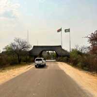 A lifetime experience in Krugar National Park