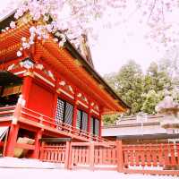 Exploring Nikko World Heritage in Japan
