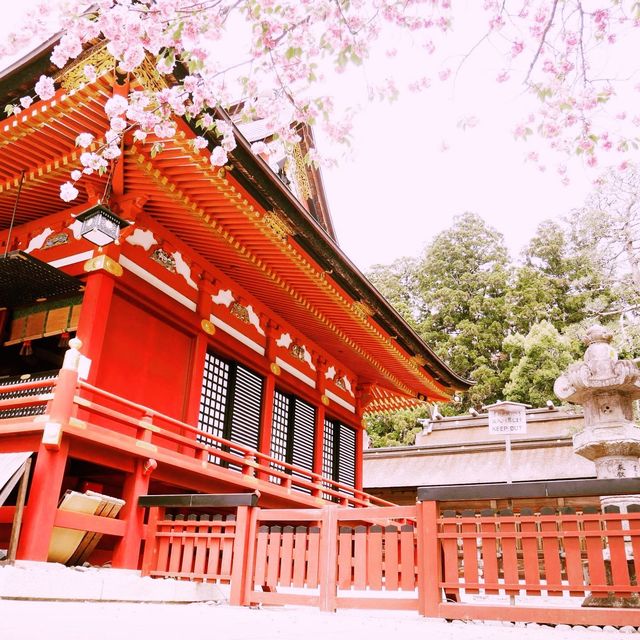 Exploring Nikko World Heritage in Japan