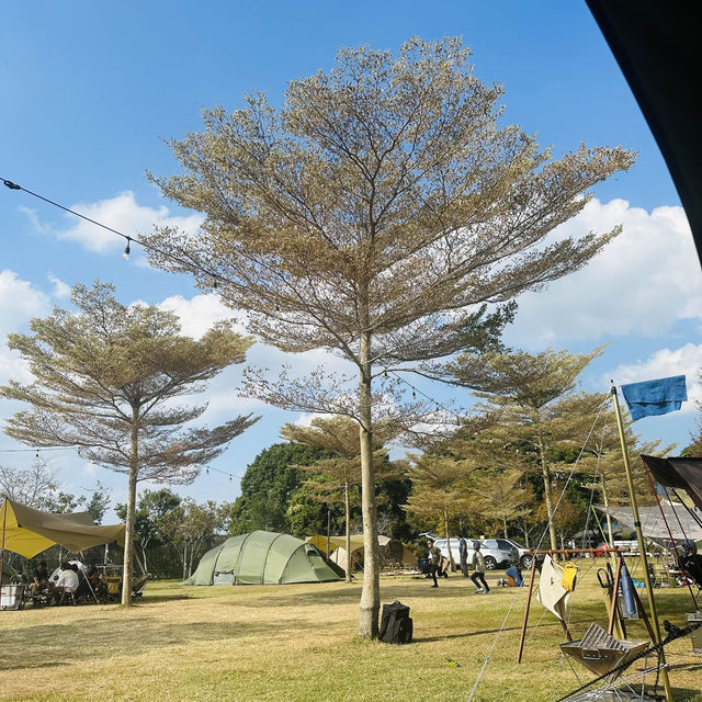 卓蘭山林野地露營區