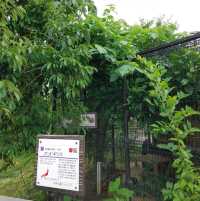1903年開業の歴史ある動物園