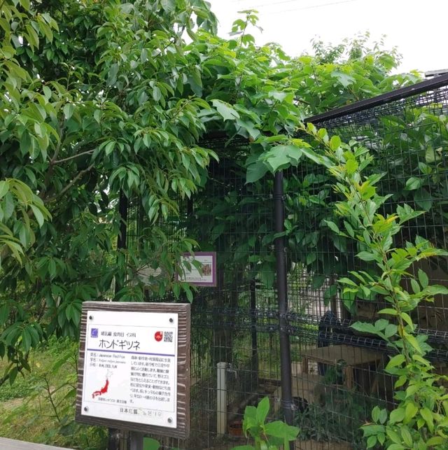 1903年開業の歴史ある動物園