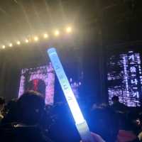 겨울 콘서트 여행