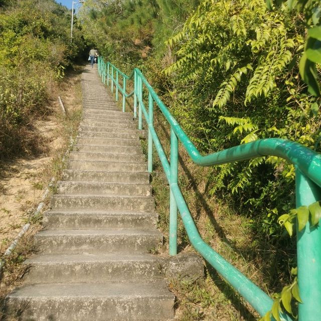 坪洲:手指☞山