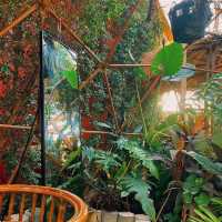 รัานโกเหมย Komei Cafe